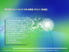 番茄花园Ghost Win10 (64位) 优化纯净版V201611(永久激活)