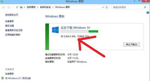 win10win10