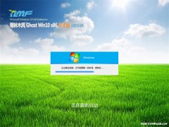 ľGhost Win10x86 רҵ V2019.04(⼤)