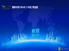 ľwin8.1 64λ ⼤»v2025.05