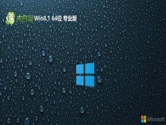 <font color='#006600'>ײ64λwin8.1ȫ»ɰv2025.05</font>