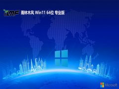ľ64λwin11Ѷv2025.05