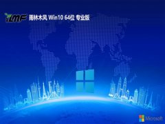 ľv2025.05win10 64λѡ