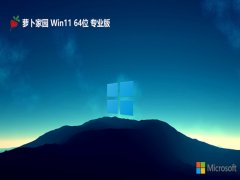 ܲ԰v2024.05win11 64λ