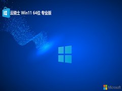 ʿwin1164λഺv2025.05