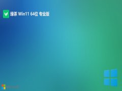 ̲ϵͳwin11 64λٰv2025.05