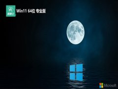 ʿwin11 64λרҵȫܰv2024.04