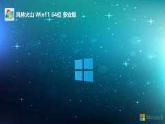 ֻɽwin11 64λ ⼤ǰv2025.05