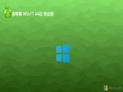 ƻϵͳwin1164λȥ溺v2024.05