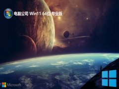 Թ˾win11ȫܾ԰64λv2025.05