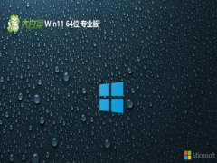 ײwin11 64λ ⼤v2025.05