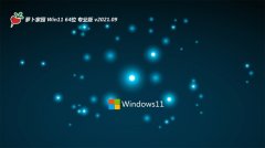 ܲ԰Win11 64λ רҵװ 2021.09